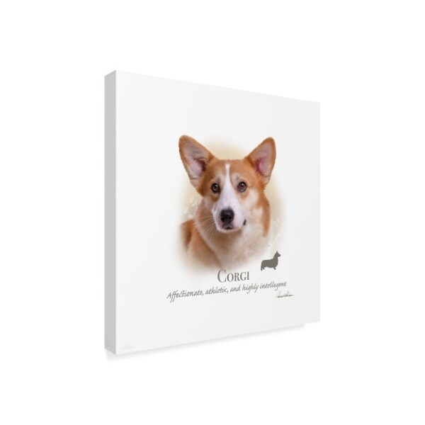 Howard Robinson 'Corgi' Canvas Art,35x35